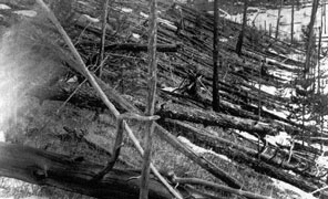 tunguska_296