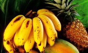 frutta_estera_296