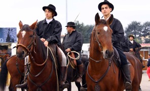 fieracavalli_296
