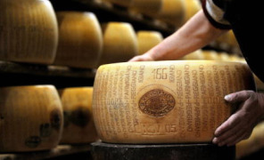 parmigiano_296