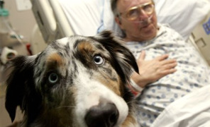 pet_therapy_296