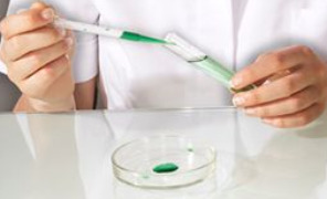 cellula_sintetica_296