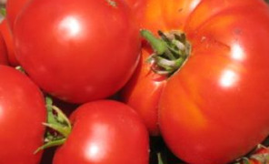 pomodoro_296