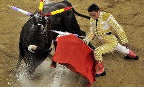 corrida_296