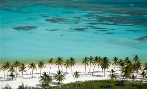 caraibi296