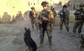 cani_antimine_afghanistan_296