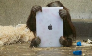 orango_ipad_296