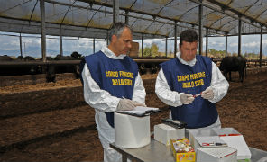 controlli_forestale_bufale2_296